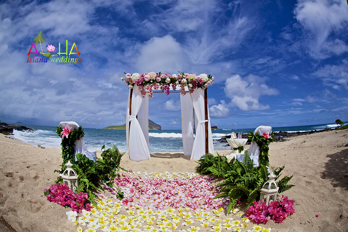 Hawaii beach arch with dark and light pink theme all white organza material on the dark bamboo with chairs wrapped in Maile lei with a star gazer added